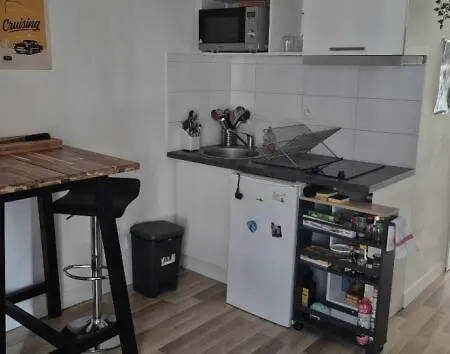 Tres Joli En Plein Centre Apartment
